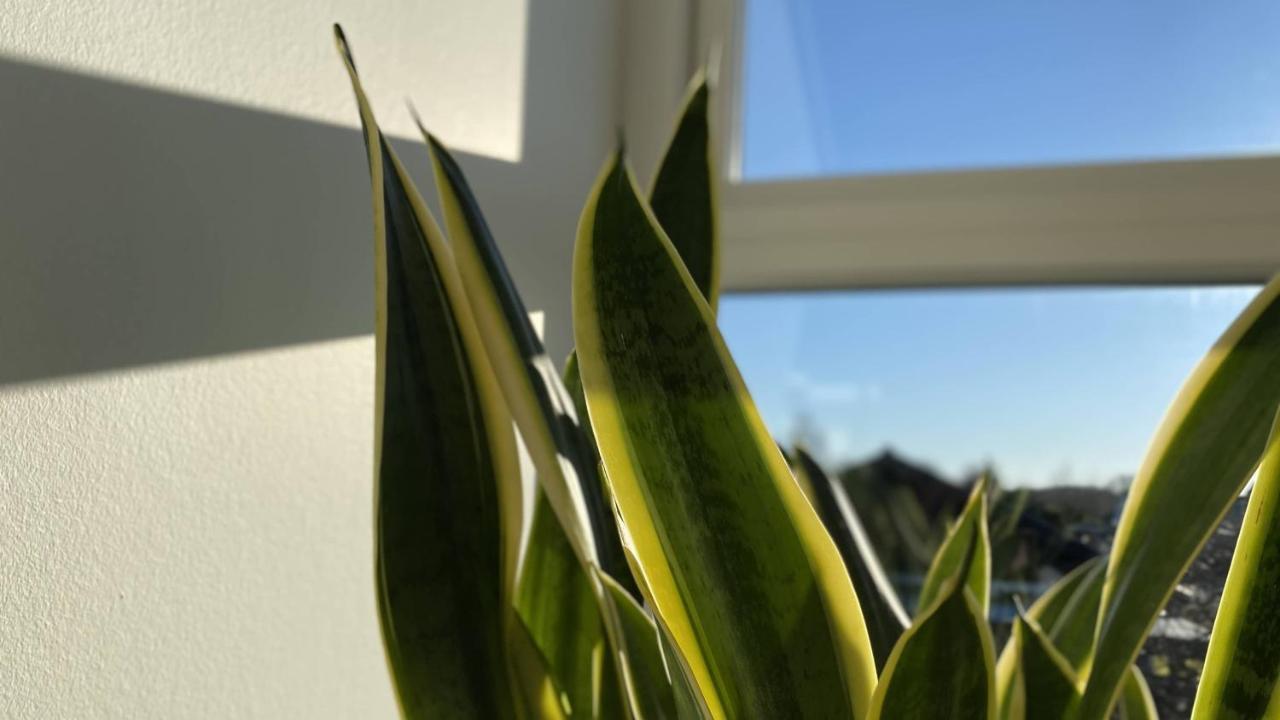 Villa Soholt - Silkeborg Bed And Breakfast Bagian luar foto
